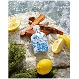 Dolce & Gabbana Light Blue Summer Vibes Pour Homme edt 125ml