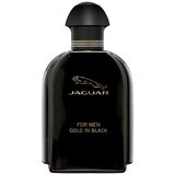Jaguar for Men Gold In Black edt 100ml