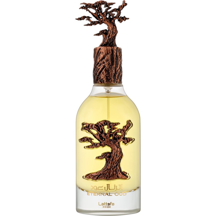 Lattafa Perfumes Eternal Oud edp 100ml - 359,33 DKK - SwedishFace.dk ♥ ...