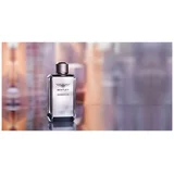 Bentley Momentum Intense edp 100ml