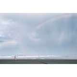 Giorgio Armani Acqua Di Gioia edt 50ml