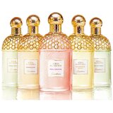 Guerlain Aqua Allegoria Pera Granita edt 125ml