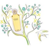 Hermès Caleche edt 100ml