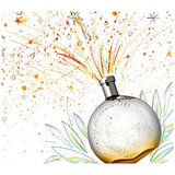 Hermès Eau Des Merveilles edt 100ml