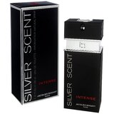 Jacques Bogart Silver Scent Intense edt 100ml