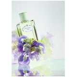 Prada Infusion d'Iris edp 100ml