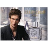 Roberto Cavalli Uomo Silver Essence edt 100ml