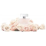 Tous Rosa Eau Legere edt 50ml