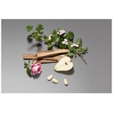 Valentino Donna Acqua edt 30ml