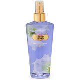 Victoria's Secret Secret Charm Fragrance Mist 250ml