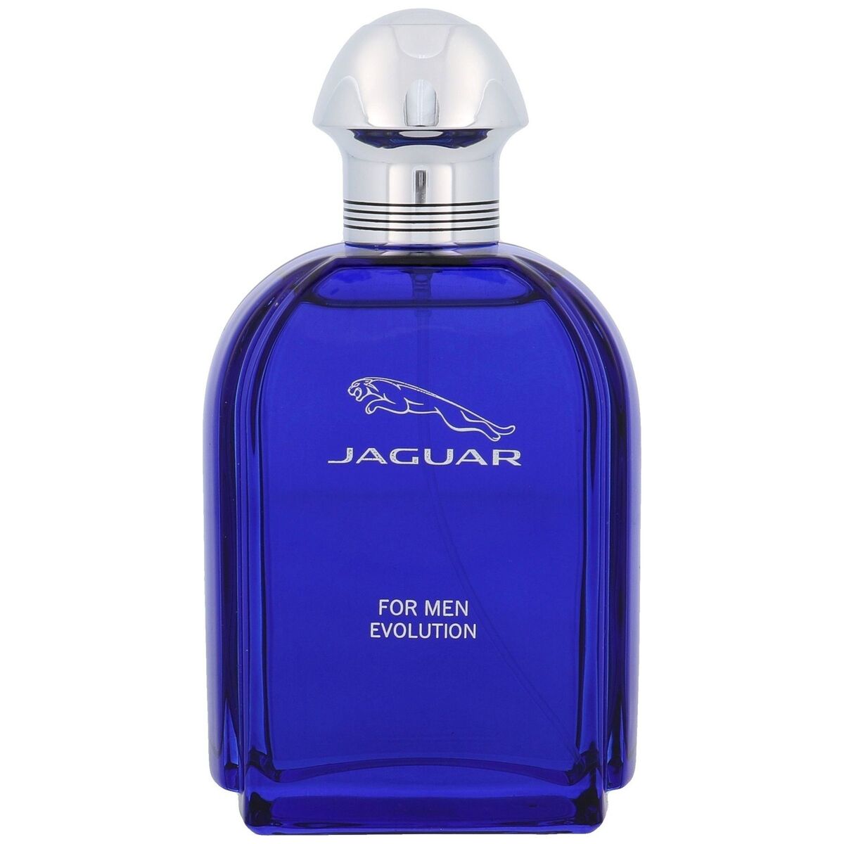 Jaguar For Men Evolution edt 100ml