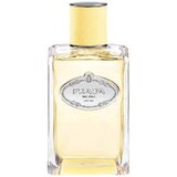 Prada Les Infusions De Mimosa edp 100ml