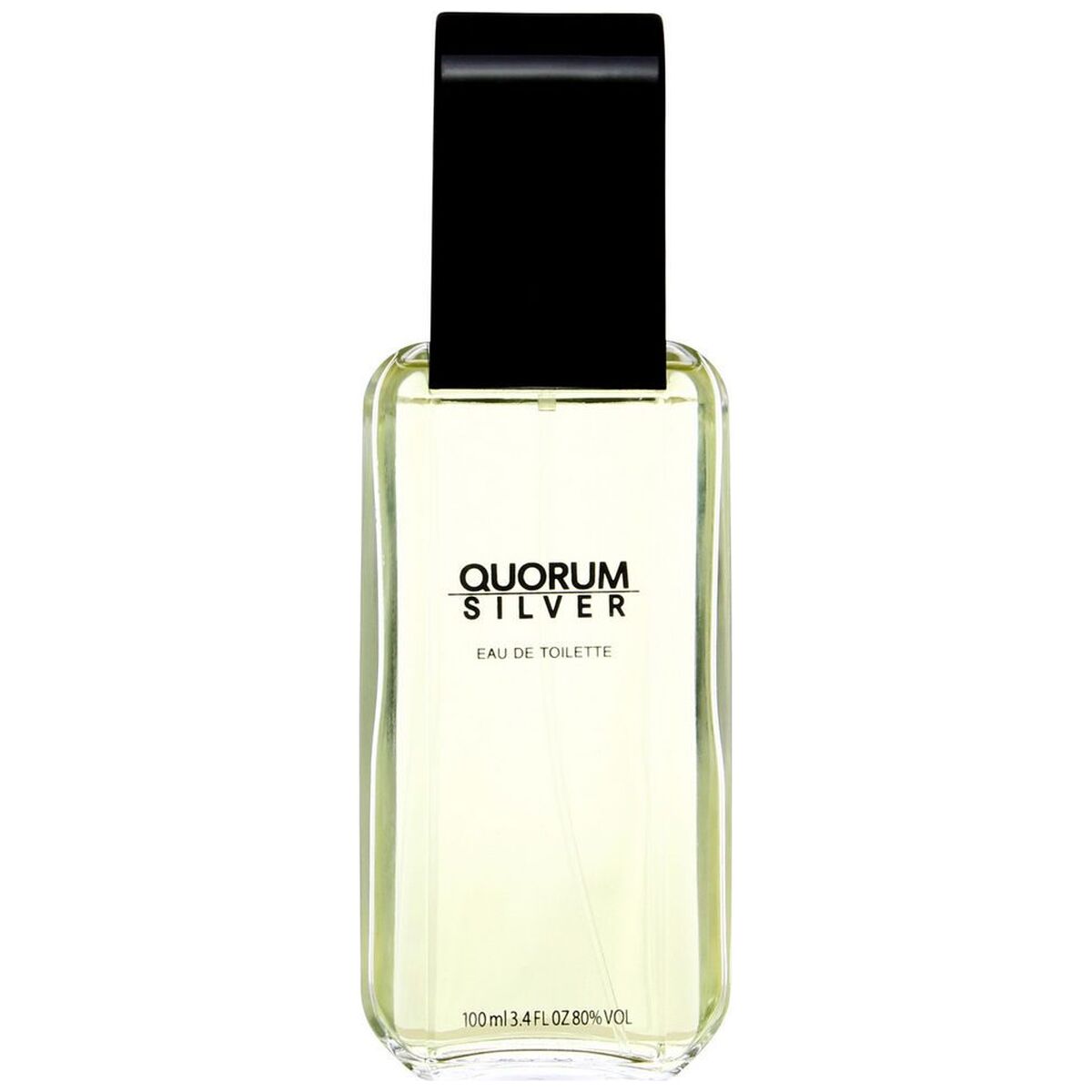 Antonio Puig Quorum Silver edt 100ml