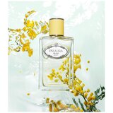 Prada Les Infusions De Mimosa edp 100ml