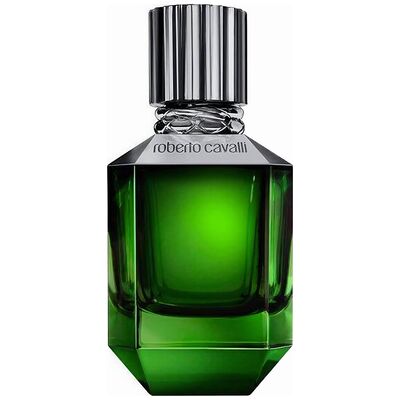 Roberto Cavalli Paradise Found Pour Homme edt 75ml