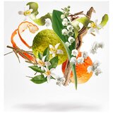 Xerjoff XJ 1861 Renaissance edp 100ml