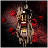 Xerjoff Oud Stars Alexandria III edp 50ml