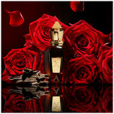 Xerjoff Oud Stars Alexandria Orientale edp 50ml