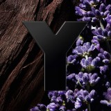 Yves Saint Laurent Y Le Parfum edp 60ml