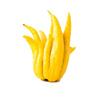 Buddhas Hånd