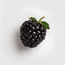 Dewberry