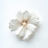 Gustavia Blomst