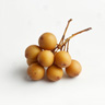 Longan Bær