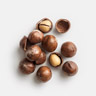 Macadamia