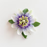 Passionsblomst