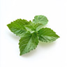 Patchouli (Grøn)