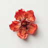 Granatæble Blomst