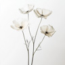 Transparente Blomster