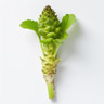 Wasabi
